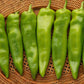 Pepper Chile G76 F1 Seed
