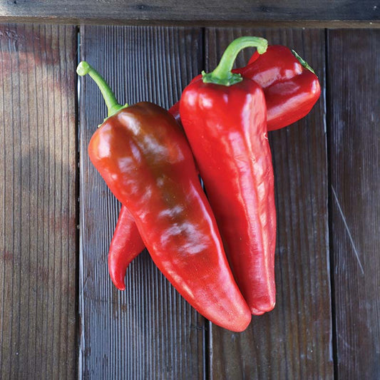 Pepper Carmen F1 Seed