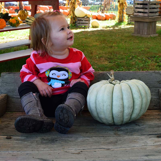Pumpkin Jarrahdale Seed
