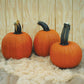 Pumpkin Wolf Seeds