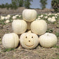 Pumpkin Full Moon Seed