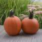 Pumpkin Cannon Ball F1 Seed