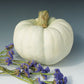 Pumpkin Silver Moon F1 Seed