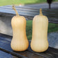 Squash Butterfly F1 Seed