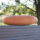 Squash Jumbo Pink Banana Seed