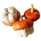 Gourd Mini Red Turban Seed