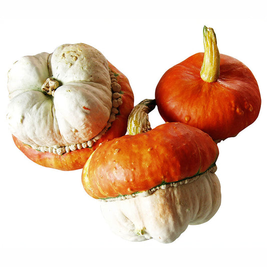 Gourd Mini Red Turban Seed