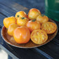 Tomato Carolina Gold F1 Seed