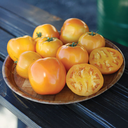 Tomato Carolina Gold F1 Seed