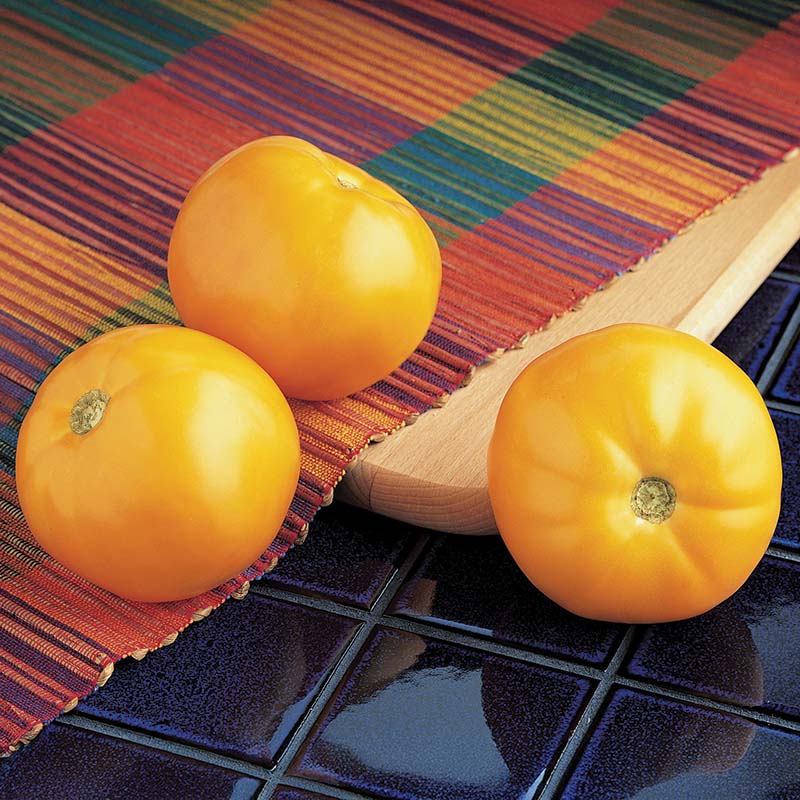 Tomato Carolina Gold F1 Seed