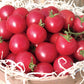 Tomato Sweet Treats F1 Seed