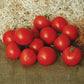 Tomato Premio F1 Seed