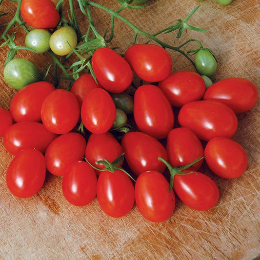 Tomato Red Grape F1 Seed