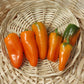 Pepper Hamik F1 Seed