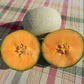 Melon Shockwave F1 Seed