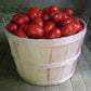 Tomato Plum Regal F1 Seed