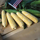 Sweet Corn American Dream F1 Seed