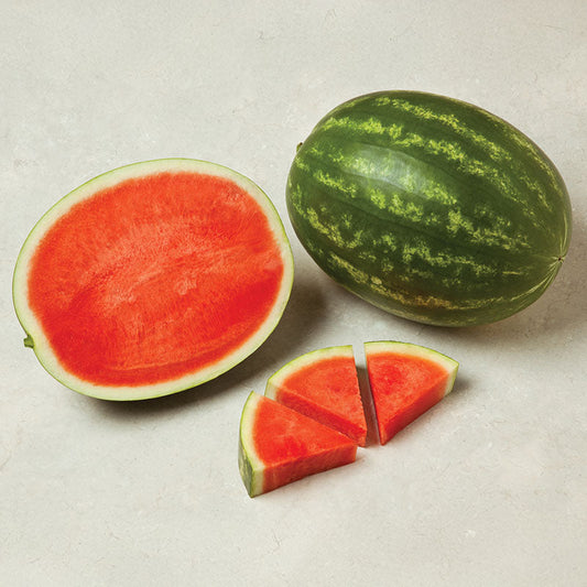 Watermelon Fascination F1 Seed