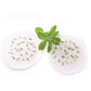 Stevia Candy Organic Seed