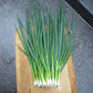 Onion Parade Organic Seed