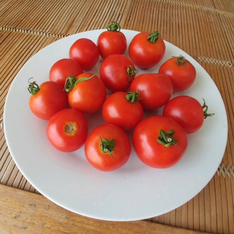 Tomato Red Racer F1 Seed