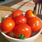 Tomato Red Racer F1 Seed