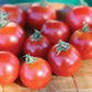 Tomato Red Racer F1 Seed