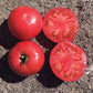 Tomato Damsel F1 Seed