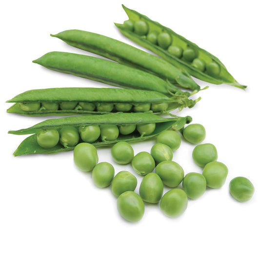 Pea Karina Organic Seed