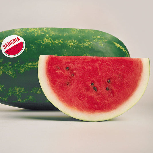 Watermelon Sangria F1 Seed