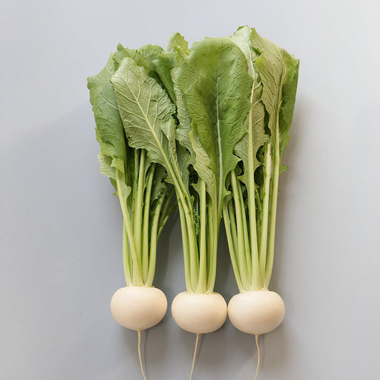 Turnip Tokyo Silky Sweet F1 Seed