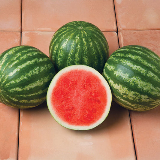 Watermelon Sirius F1 Seed