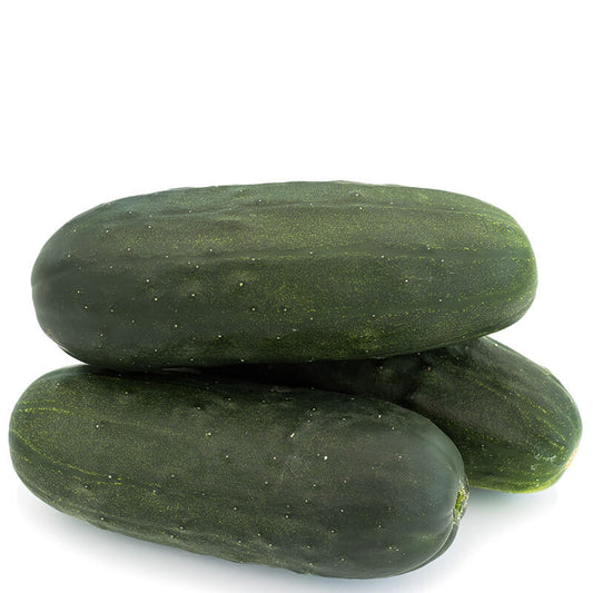 Cucumber Espirit F1 Seed