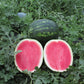 Watermelon Cracker Jack F1 Organic Seed