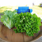 Lettuce Hulk Seed