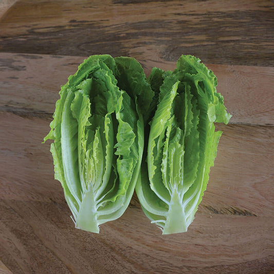 Lettuce Sonora Seed