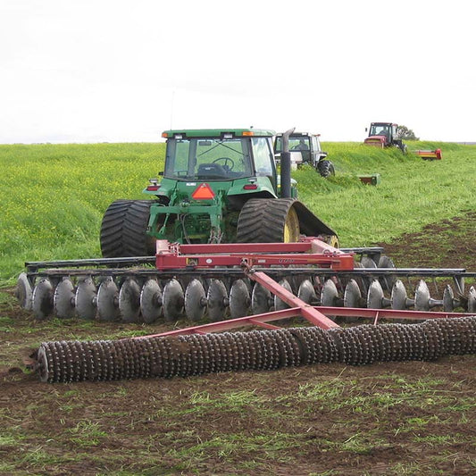 Mustard Biofumigant Caliente199 Seeds