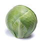 Cabbage Ovation F1 Seed