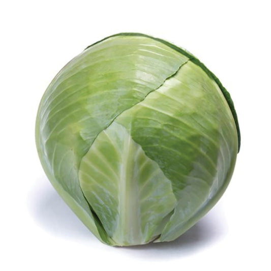 Cabbage Ovation F1 Seed