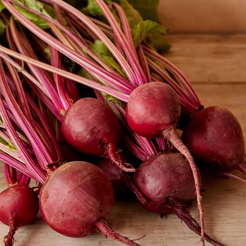 Beet, Detroit Dark Red Medium Top
