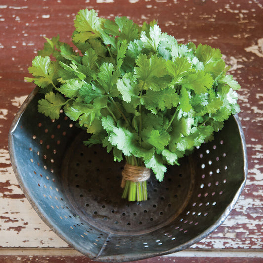 Cilantro/Coriander Seed