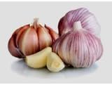 Garlic Bulb (7 Bulbs), Fresh Siberian HARDNECK Garlic Bulb for Planting and Growing Your OWN Garlic OR Eating