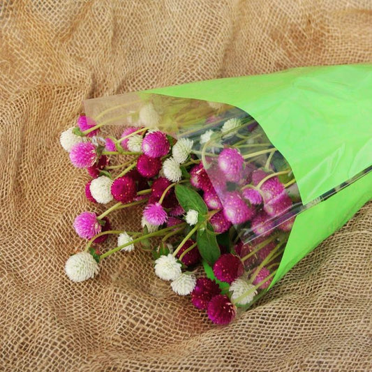 Gomphrena Audray Mix Seed