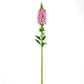 Snapdragon Potomac Lavender F1 Seed