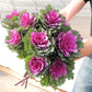 Ornamental Kale Crane Feather Queen F1 Seed