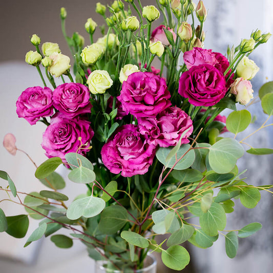 Lisianthus Voyage 2 Deep Rose Seed