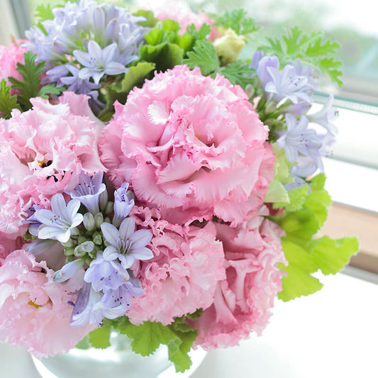 Lisianthus Voyage 2 Pink Seed