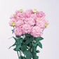 Lisianthus Voyage 2 Pink Seed