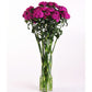 Dianthus Sweet Neon Purple F1 Seed