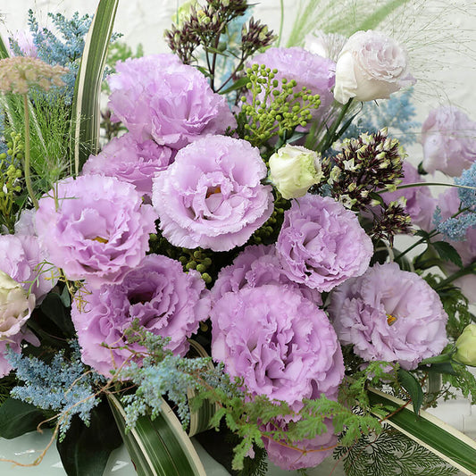 Lisianthus Voyage 2 Lavender F1 Seed